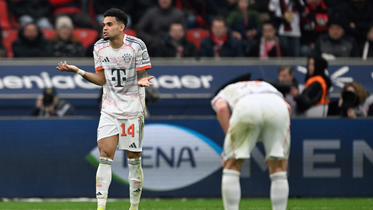 the president of the German referees supported the guajiro and the controversy grows due to the serious error