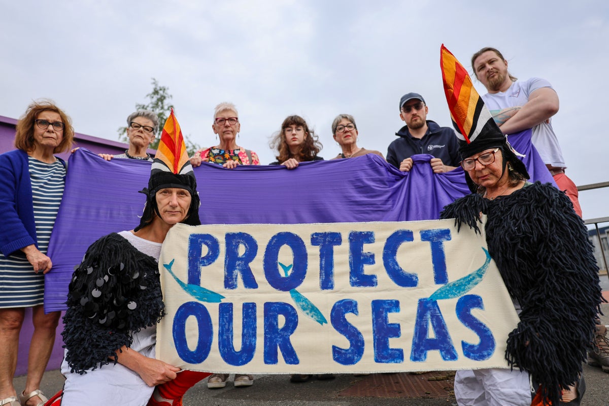 Plastic nurdles clean-up delay by volunteers angers sea campaigners