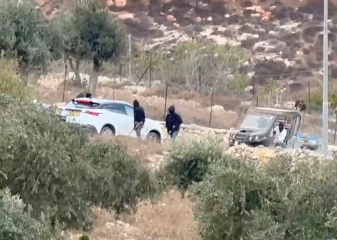 Palestinians and European diplomats attacked by Israeli settlers in West Bank